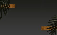 Banner: 1280x800