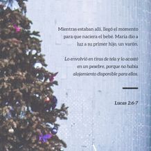 22 de diciembre - Plaza 1