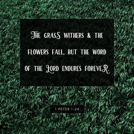1 Peter 1:24