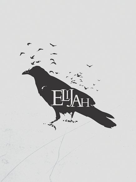 Banner 2