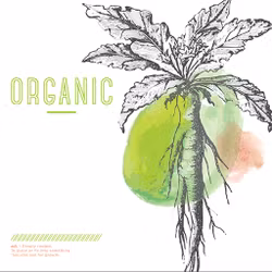 Organic - YTH