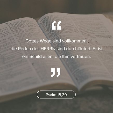Psalm 18:30