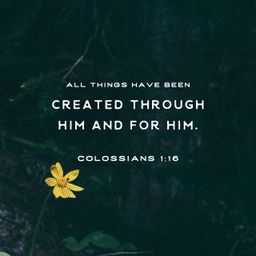 Colossians 1:16
