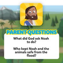 Parent Questions