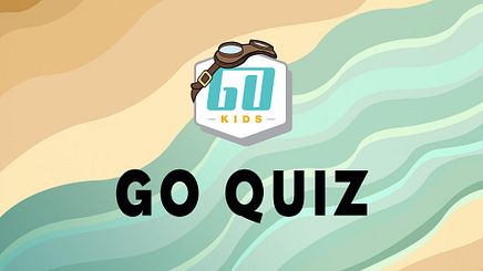 Go Quiz