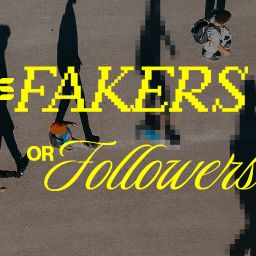 Fakers or Followers - Switch