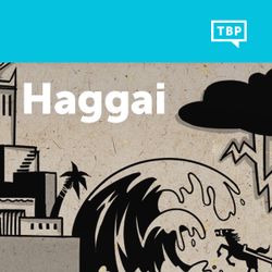 Read Scripture: Haggai