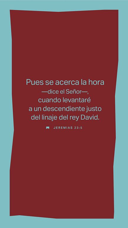 15 de diciembre - Vertical