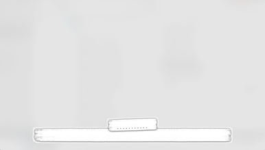 Standards Slide