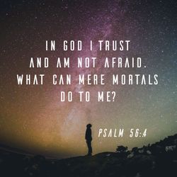 Psalm 56:4