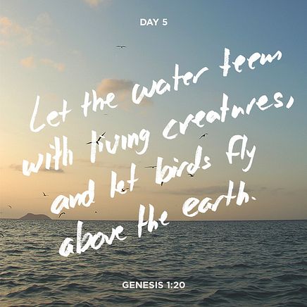 Creation Series Day 5