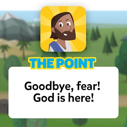 The Point