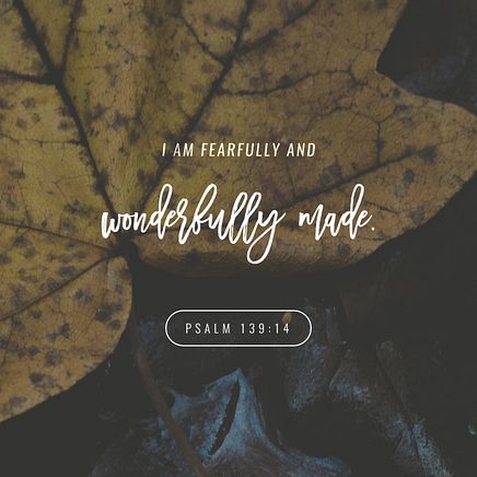 Psalm 139:14