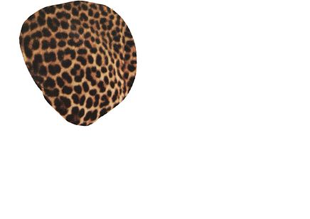Leopard Spots 2