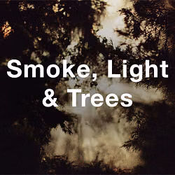 Stock Videography: Smoke, Light & Trees