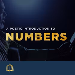 The Book of Numbers