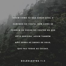 Ecclesiastes 11:5