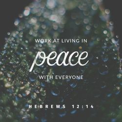 Hebrews 12:14