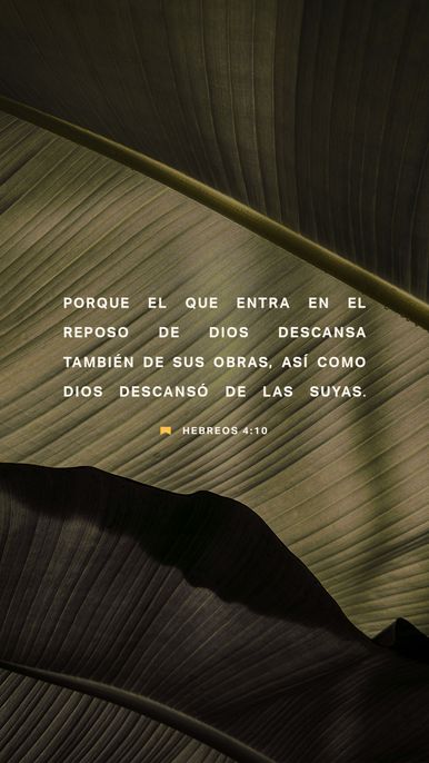 17 de enero - Vertical