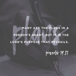 Proverbs 19:21