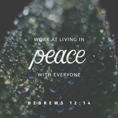 Hebrews 12:14