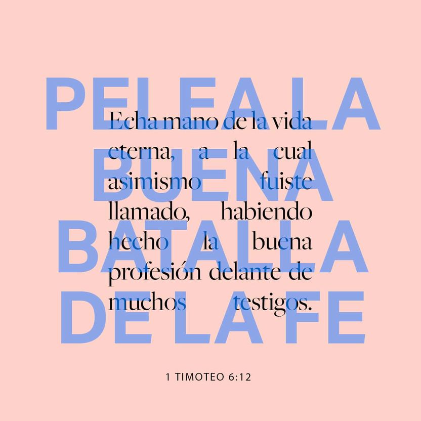 12 de enero - Plaza