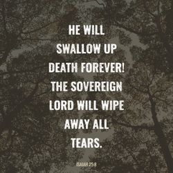Isaiah 25:8