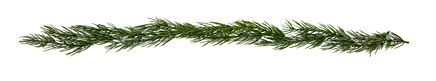 Photo 4 - Plain Garland