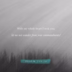 Psalm 119:10