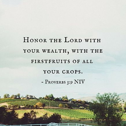 Proverbs 3:9 NIV
