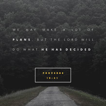 Proverbs 19:21