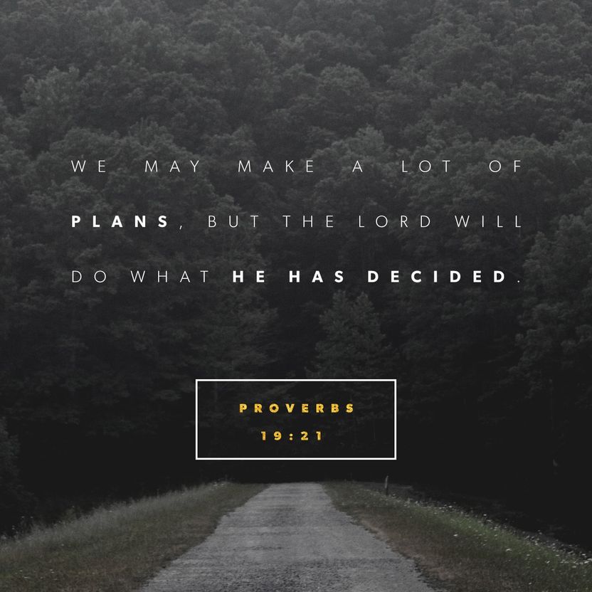 Proverbs 19:21