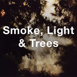 Stock Videography: Smoke, Light & Trees