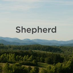 Shepherd