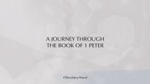 Social Media Journey - 1920x1080