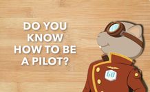 Pilot