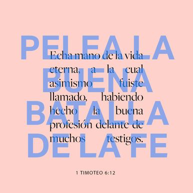 12 de enero - Plaza