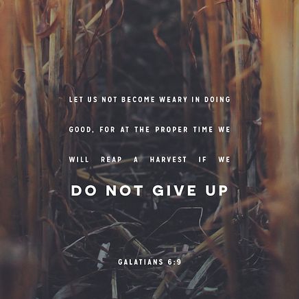 Galatians 6:9
