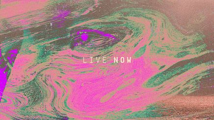 Live Now 8