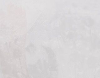 White Background 4 - 3375x2625