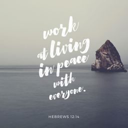 Hebrews 12:14