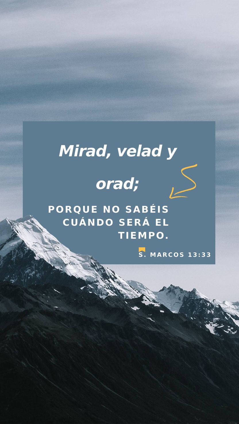 24 de enero - Vertical