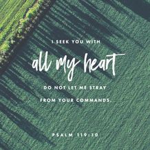 Psalm 119:10
