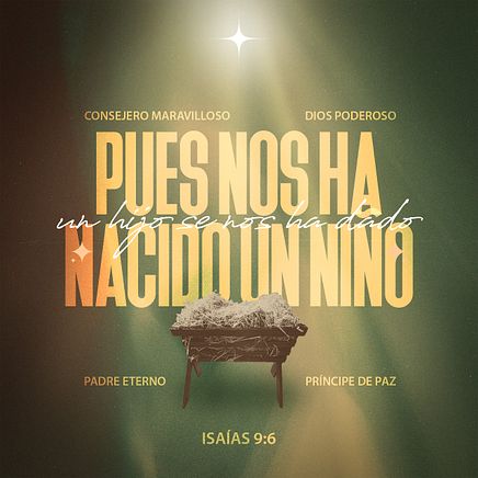 18 de diciembre - Plaza