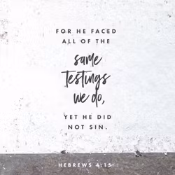 Hebrews 4:15
