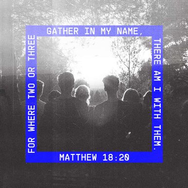 November 11