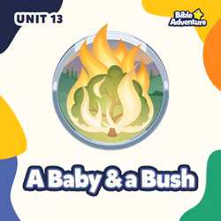 A Baby and a Bush - 2 Year Cycle