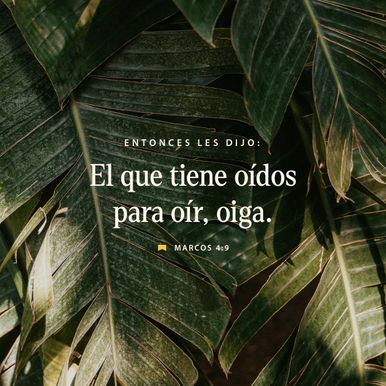 28 de enero - Plaza