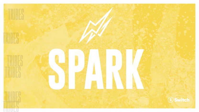 Slide - Tribes Spark