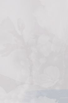 White Background - 1725x2625